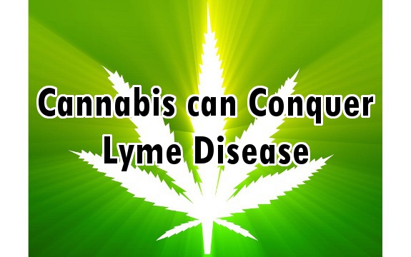 marijuana_greens_lyme_disease
